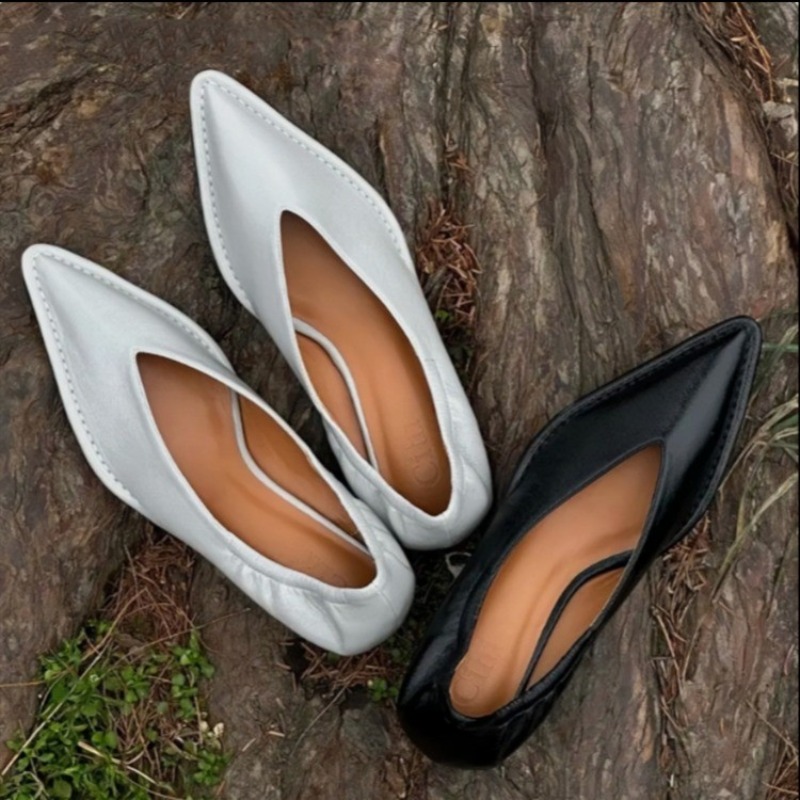 2025 New Pointed Toe Single Sh - مراجعة Women Fashion Trend 2025 وسعره