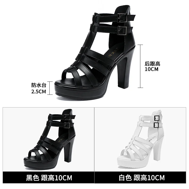 Gladiator Ladies Shoe for Wome - مراجعة Women'S Fashion Q وسعره